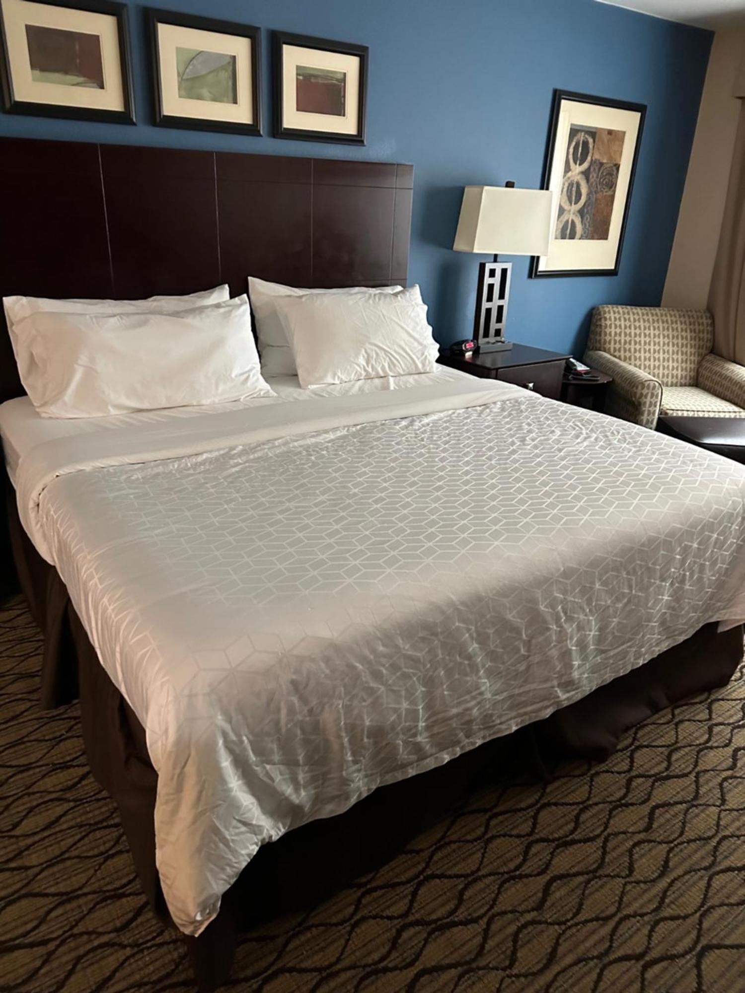 Belle Vernon Holiday Inn Express מראה חיצוני תמונה